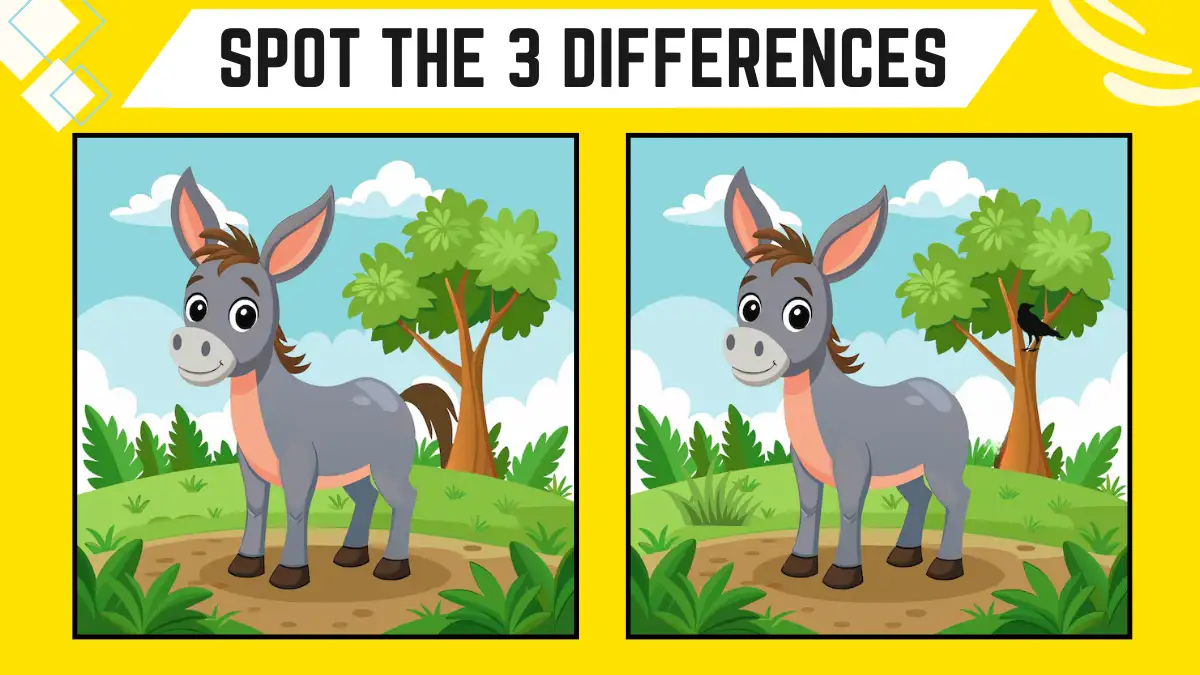 Spot the 3 Differences Picture Puzzle Game: Only Eagle Eyes Can Spot the 3 Differences in this Donkey Image in 10 Secs