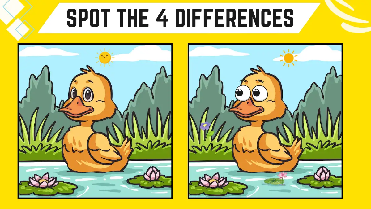 Spot the 4 Differences Picture Puzzle Game: Only Genius with Eagle Eyes Can Spot the 4 Differences in this Duck Image in 10 Secs