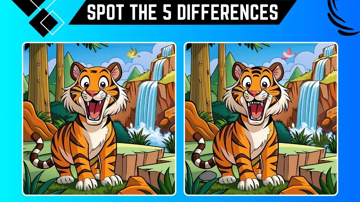 Spot the 5 Differences: Only Eagle Eyes Can Spot the 5 Differences in this Tiger Image in 14 Secs | Picture Puzzle Game