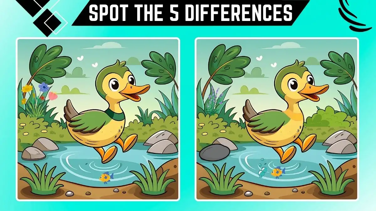 Spot the Difference Game: Only People with Sharp Eyes Can Spot the 5 Differences in this Duck Image in 15 Secs