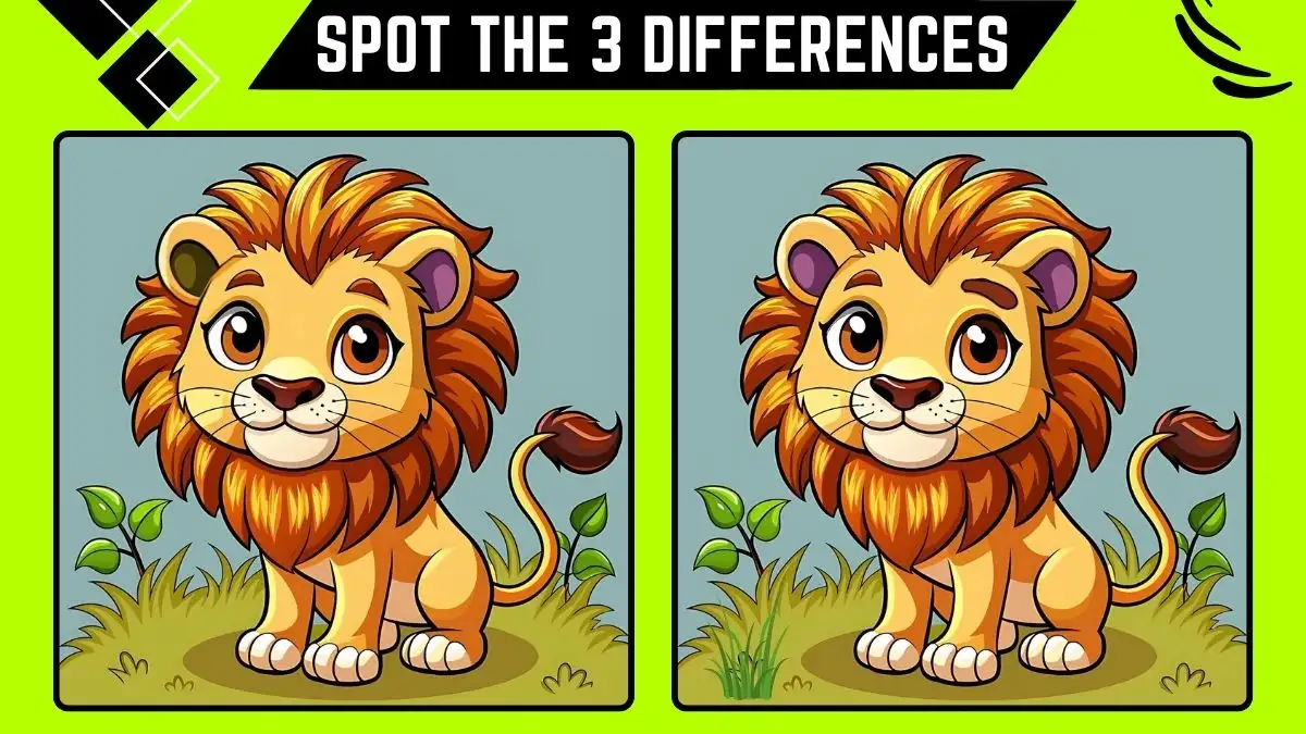 Spot the Difference Game: Only Sharp Eyes Can Spot the 3 Differences in this Lion Image in 14 Secs