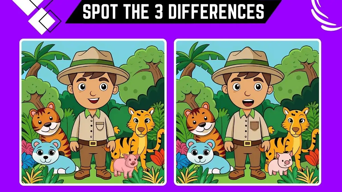 Spot the Difference Picture Puzzle Game: Only excellent vision Can Spot the 3 Differences in this Image in 10 Secs