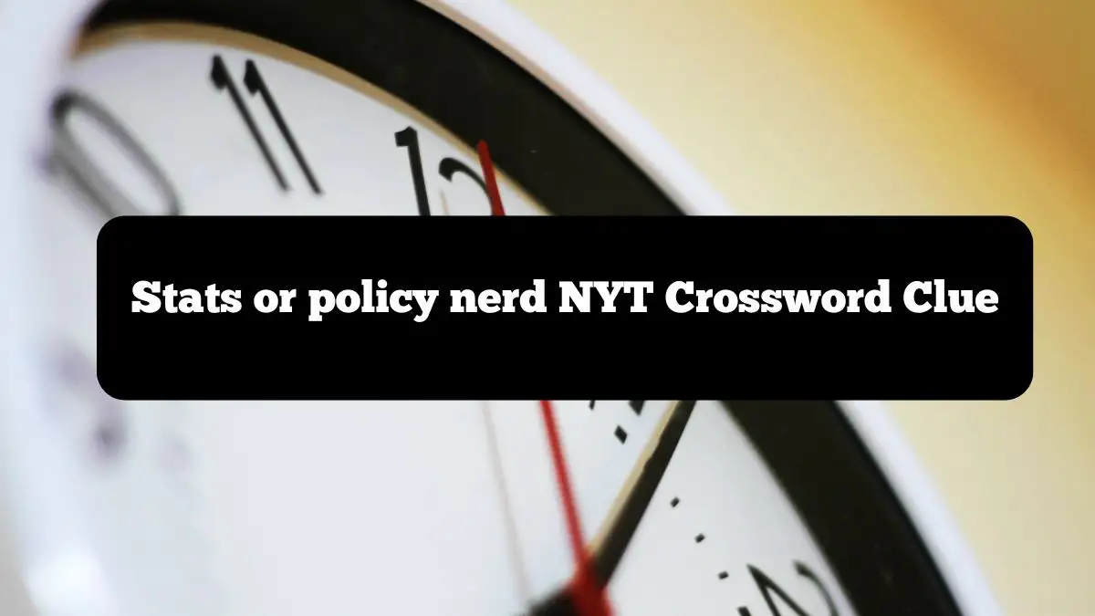 Stats or policy nerd NYT Crossword Clue