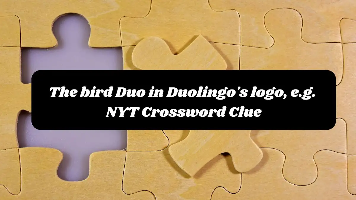 The bird Duo in Duolingo's logo, e.g. NYT Crossword Clue