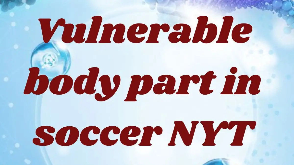 Vulnerable body part in soccer NYT Crossword Clue Answer Revealed as of October 9, 2024