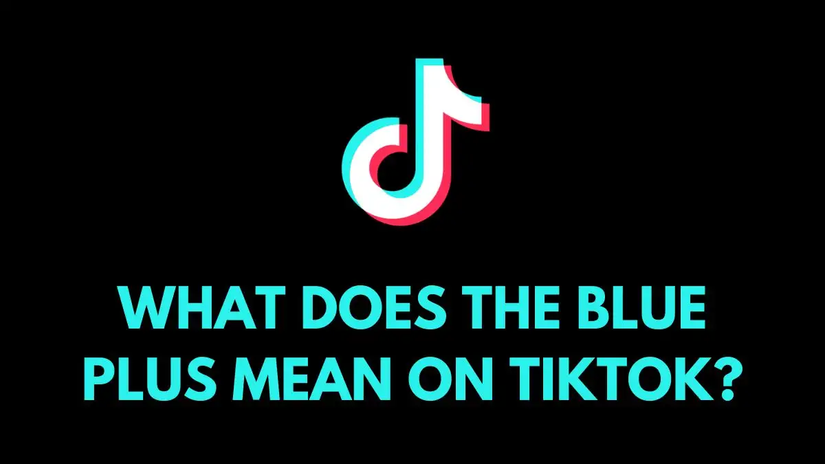 What does the Blue Plus Mean on TikTok? Know the Meaning Here