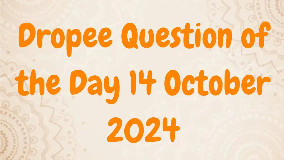 What term refers to the lowest price at which an NFT can be purchased in a marketplace? Dropee Question of the Day 14 October 2024