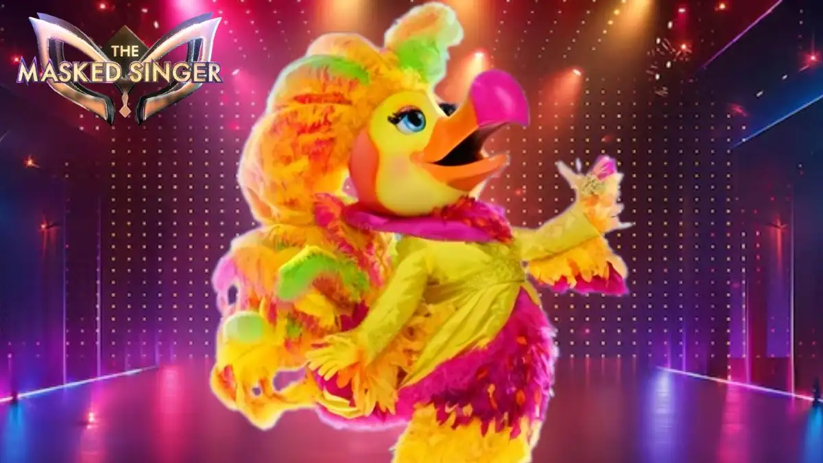 Who Was Unmasked on the Masked Singer Tonight? Celebrity Under the Costume