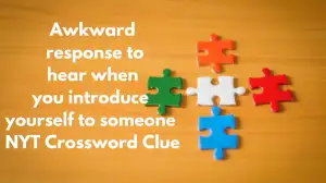 Awkward response to hear when you introduce yourself to someone NYT Crossword Clue