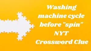 Washing machine cycle before spin NYT Crossword Cl...