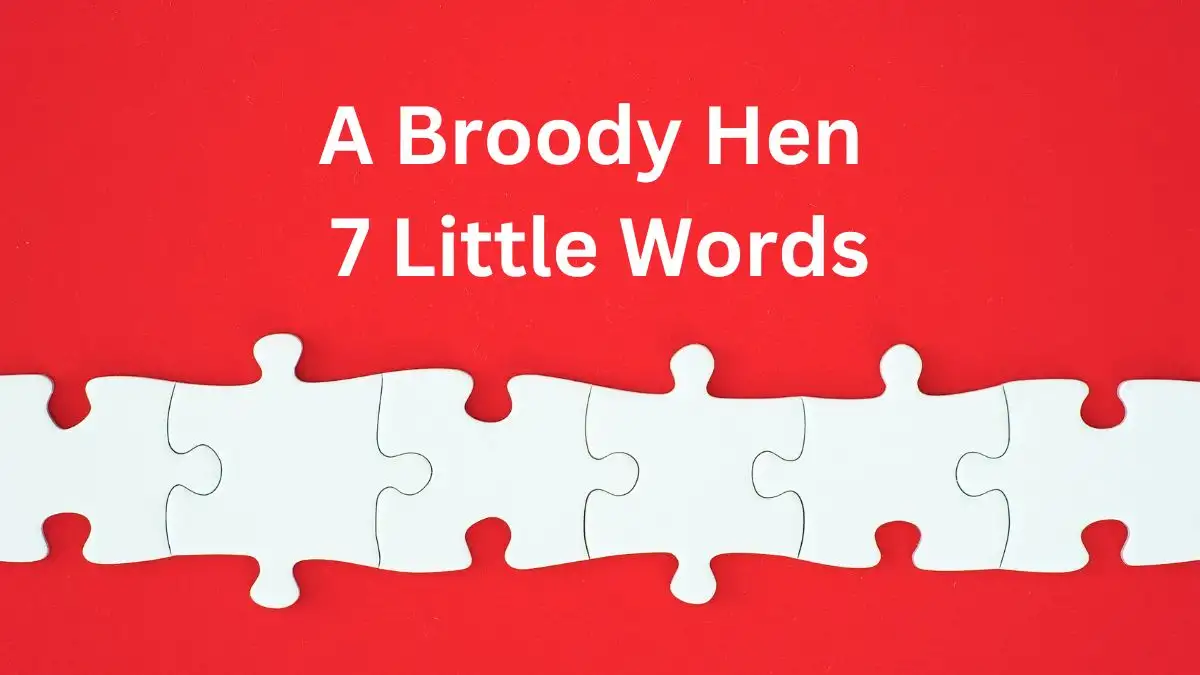 A Broody Hen 7 Little Words Crossword Clue