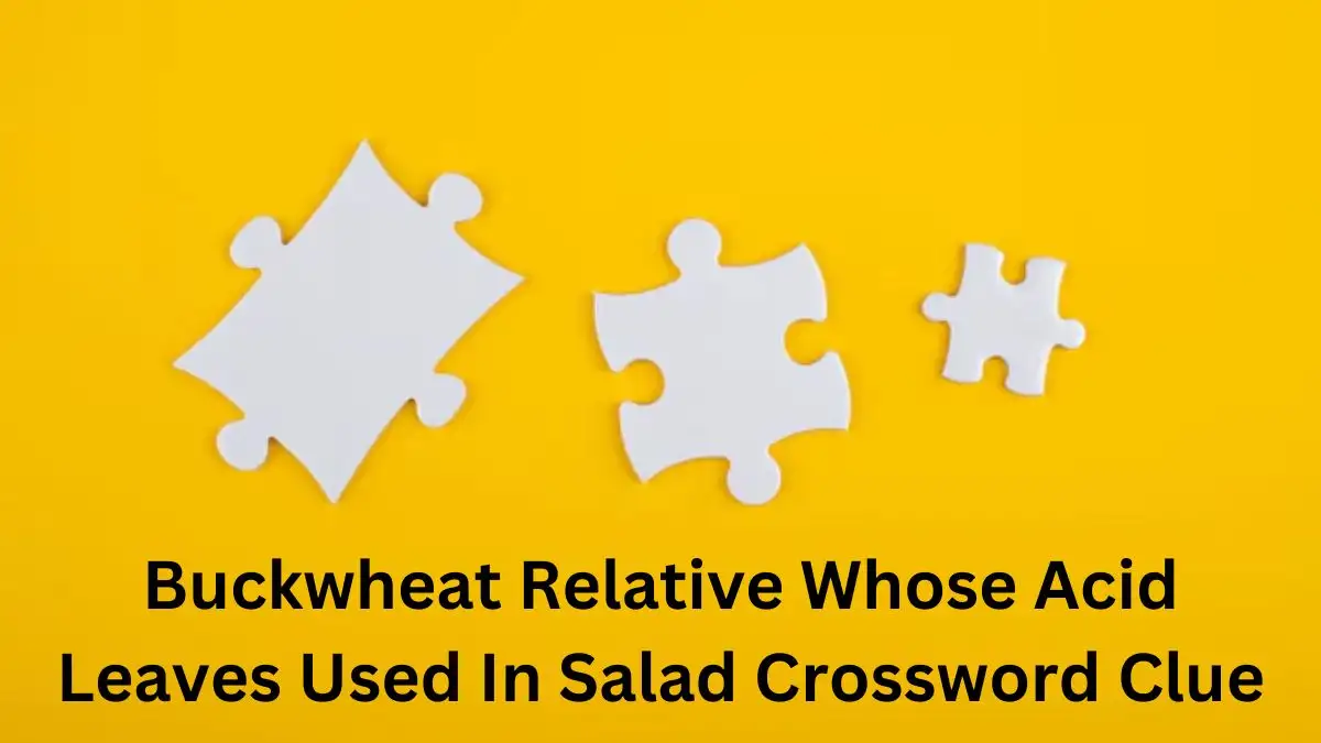 Buckwheat Relative Whose Acid Leaves Used In Salad Crossword