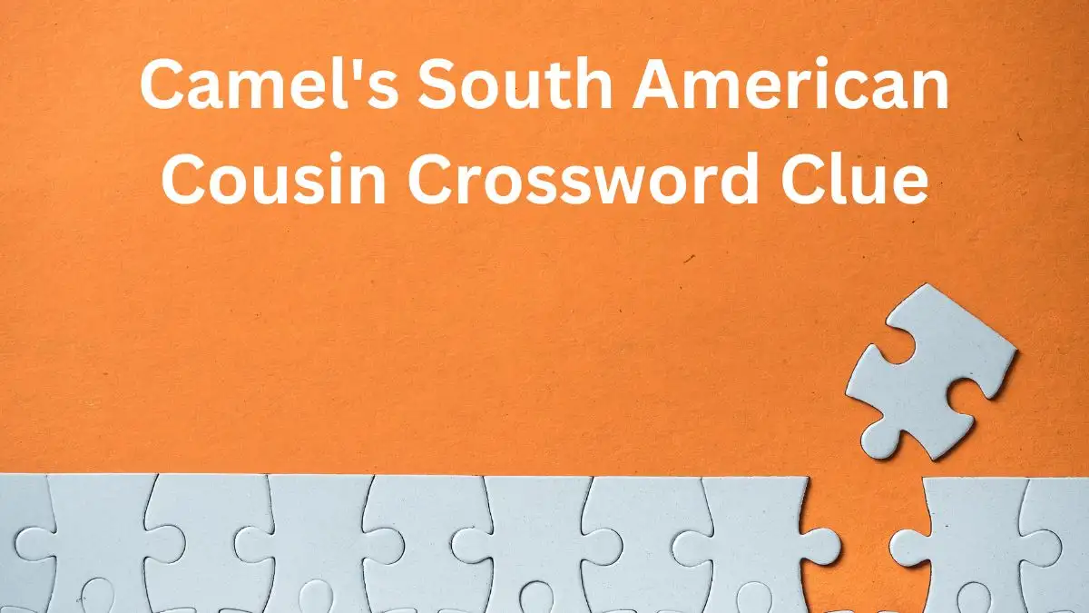 Camel's South American Cousin Crossword Clue