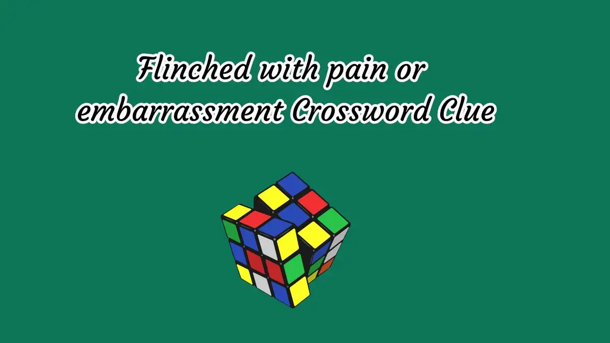 Flinched with pain or embarrassment Crossword Clue