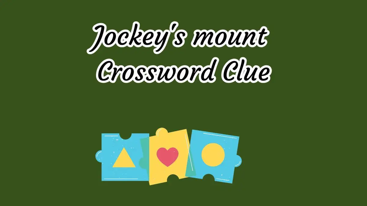 Jockey's mount Crossword Clue