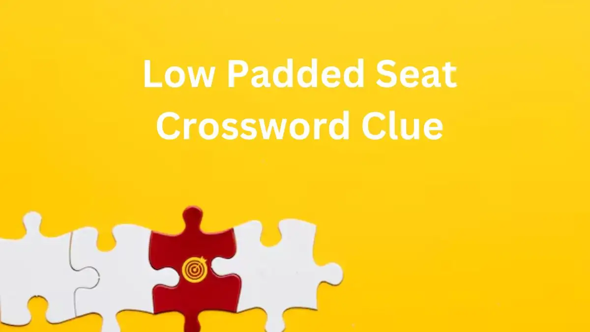 Low Padded Seat Crossword Clue