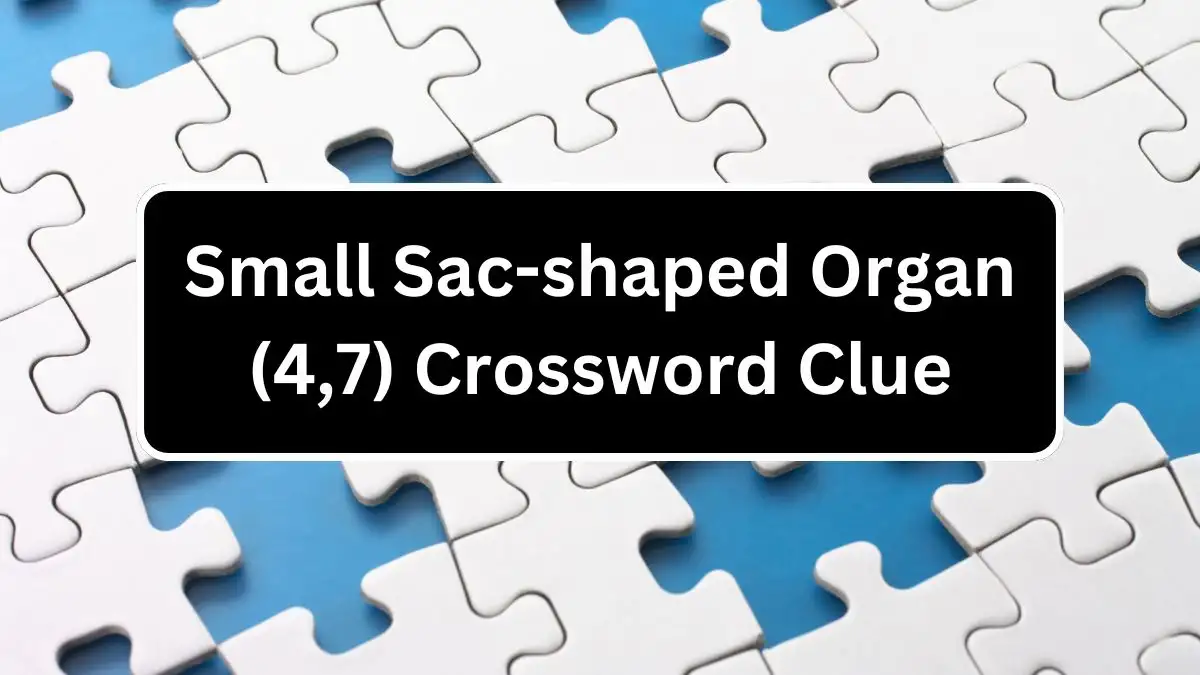 Small Sac-shaped Organ (4,7) Crossword Clue