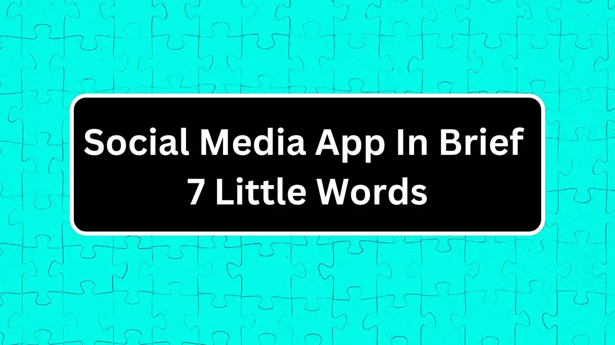 Social Media App In Brief 7 Little Words Answer