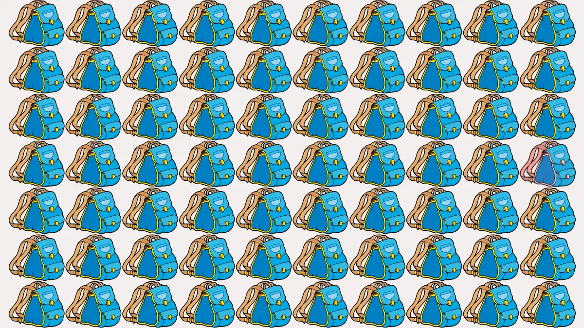 Brain Test: If you have Sharp Eyes find the Odd Bag in 6 Secs Brain Test: If you have Sharp Eyes find the Odd Bag in 6 Secs