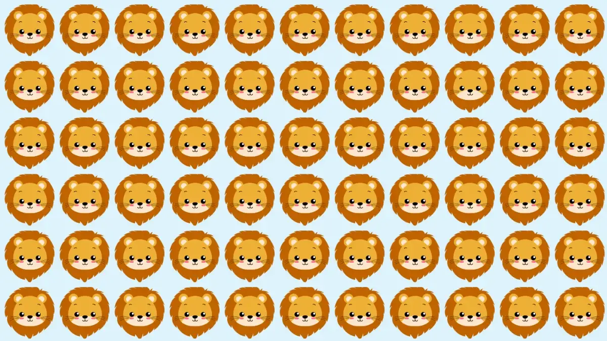 Observation Brain Challenge: Only People with Hawk Eyes Can Spot the Odd Lion in 6 Secs Observation Brain Challenge: Only People with Hawk Eyes Can Spot the Odd Lion in 6 Secs