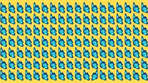 Odd One Out Puzzle: Only Eagle Eyes Can Spot the Odd Butterfly in 6 Secs