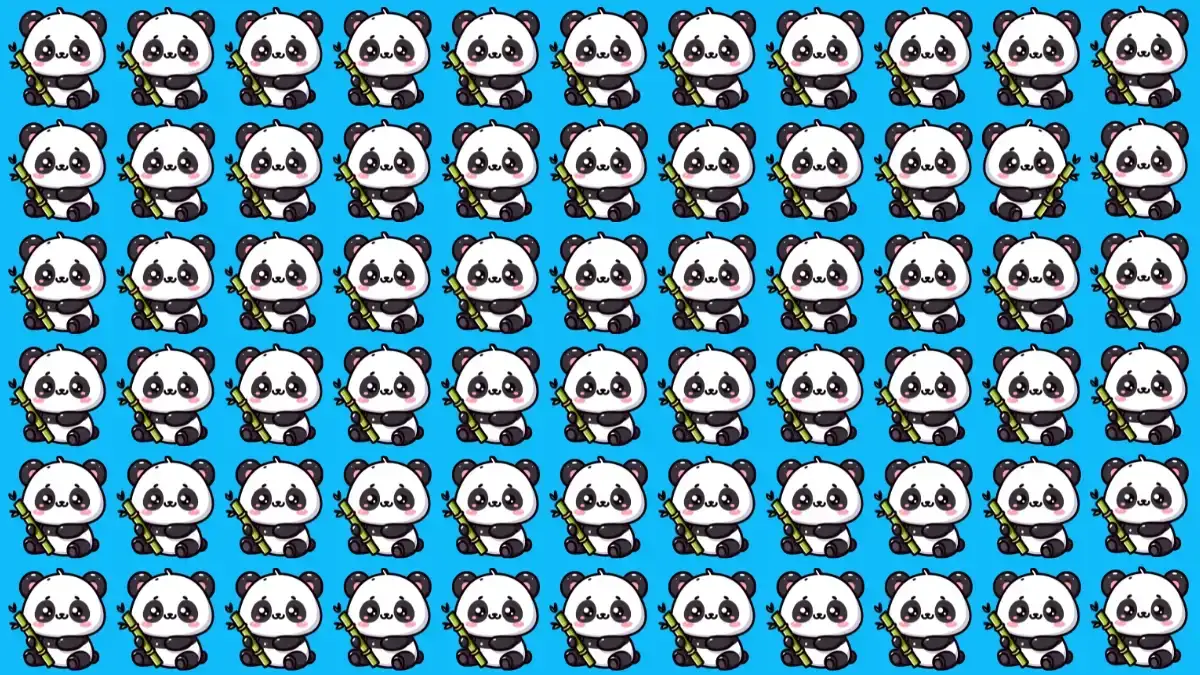 Optical Illusion Eye Test: If You have 2K Vision Spot the Odd Panda in 5 Secs
