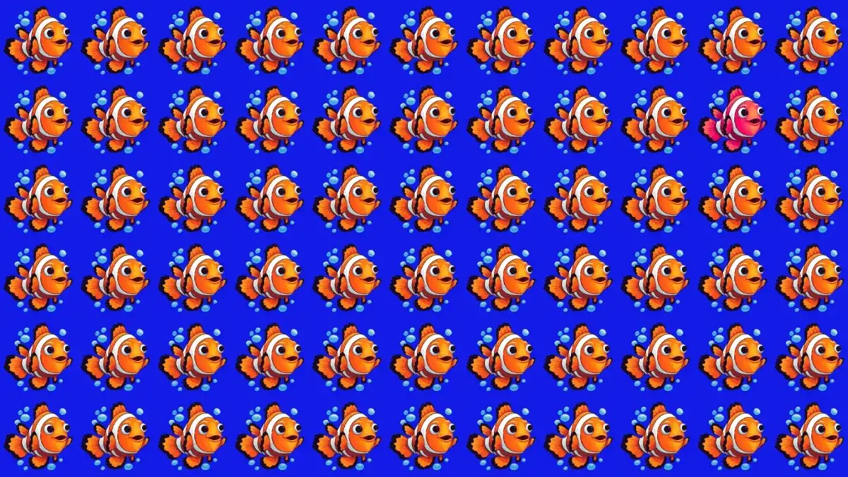 Optical Illusion Vision Test: If You have Sharp Eyes Spot the Odd Fish in 5 Secs Optical Illusion Vision Test: If You have Sharp Eyes Spot the Odd Fish in 5 Secs