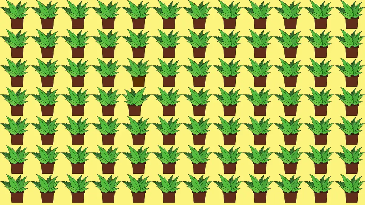 Optical Illusion Vision Test: Only People with Sharp Eyes Can Spot the Odd Plant in 5 Secs Optical Illusion Vision Test: Only People with Sharp Eyes Can Spot the Odd Plant in 5 Secs