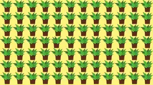 Optical Illusion Vision Test: Only People with Sharp Eyes Can Spot the Odd Plant in 5 Secs