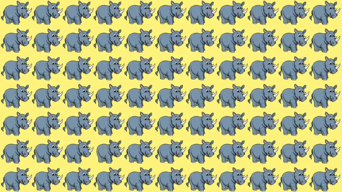 Puzzle IQ Test: Only 3 Out of 10 Can Spot the Odd Rhino in 6 Secs Puzzle IQ Test: Only 3 Out of 10 Can Spot the Odd Rhino in 6 Secs