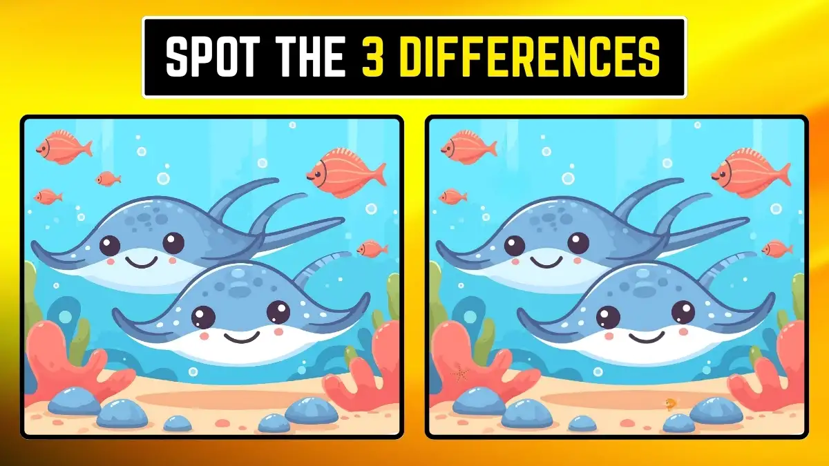 Spot the 3 Differences Picture Puzzle Game: Only Eagle Eyes Can Spot the 3 Differences in this Image in 12 Secs Spot the 3 Differences Picture Puzzle Game: Only Eagle Eyes Can Spot the 3 Differences in this Image in 12 Secs