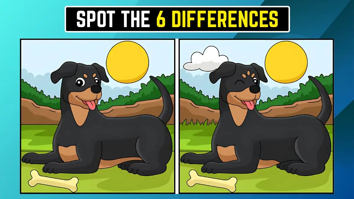 Spot the 3 Differences Picture Puzzle Game: Only Eagle Eyes Can Spot the 6 Differences in this Dog Image in 18 Secs Spot the 3 Differences Picture Puzzle Game: Only Eagle Eyes Can Spot the 6 Differences in this Dog Image in 18 Secs