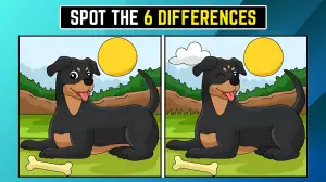 Spot the 3 Differences Picture Puzzle Game: Only Eagle Eyes Can Spot the 6 Differences in this Dog Image in 18 Secs