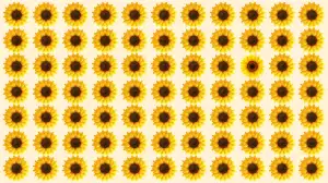 Optical Illusion Eye Test: If You have Hawk Eyes Spot the Odd Sunflower in 7 Secs