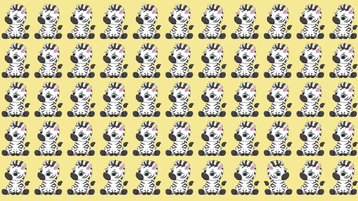 Optical Illusion Eye Test: If You have Hawk Eyes Spot the Odd Zebra in 9 Secs