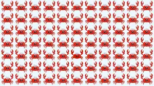 Optical Illusion Vision Test: Only People with Sharp Eyes Can Spot the Odd Crab in 5 Secs