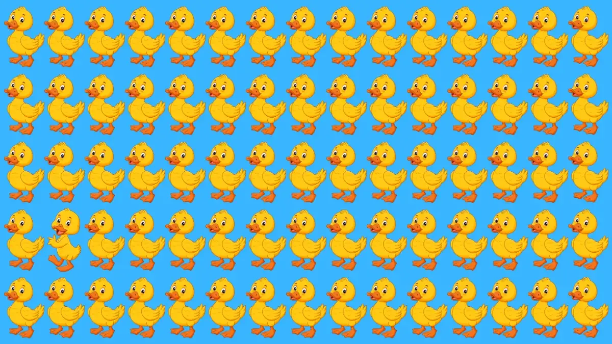 Brain Teaser IQ Test: Only 3 Out of 10 Can Spot the Odd Duck in 5 Secs