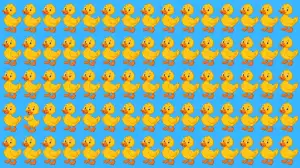 Brain Teaser IQ Test: Only 3 Out of 10 Can Spot the Odd Duck in 5 Secs