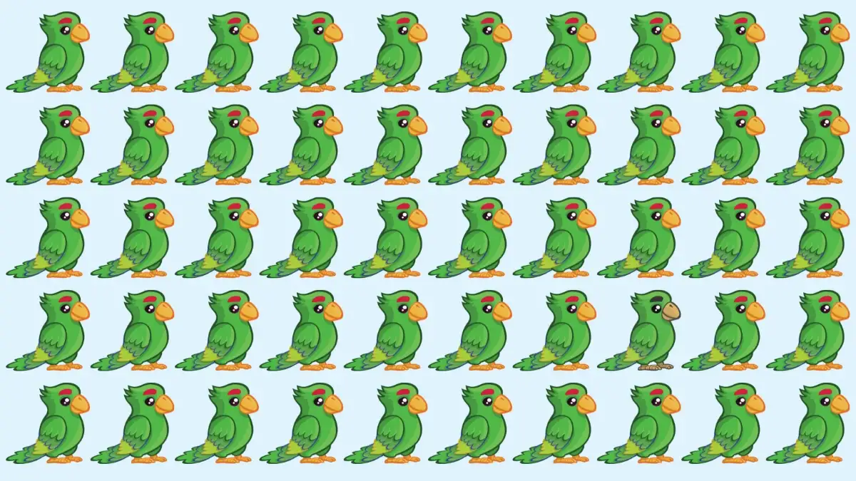 Brain Teaser IQ Test: Only 3 Out of 10 Can Spot the Odd Parrot in 7 Secs Brain Teaser IQ Test: Only 3 Out of 10 Can Spot the Odd Parrot in 7 Secs