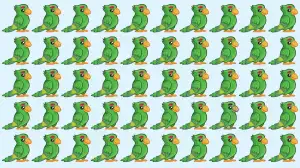Brain Teaser IQ Test: Only 3 Out of 10 Can Spot the Odd Parrot in 7 Secs