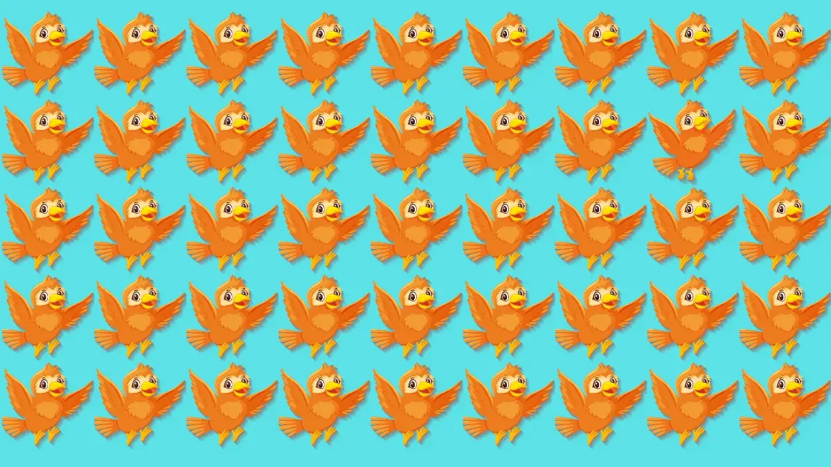 Odd One Out Puzzle: Only eagle Eyes Can Spot the Odd Bird in 6 Secs Odd One Out Puzzle: Only eagle Eyes Can Spot the Odd Bird in 6 Secs