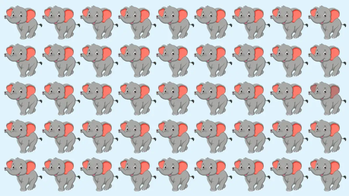 Odd One Out Puzzle: Only eagle Eyes Can Spot the Odd Elephant in 5 Secs Odd One Out Puzzle: Only eagle Eyes Can Spot the Odd Elephant in 5 Secs