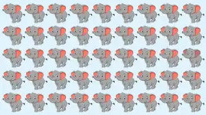 Odd One Out Puzzle: Only eagle Eyes Can Spot the Odd Elephant in 5 Secs