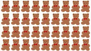 Odd One Out Puzzle: Only eagle Eyes Can Spot the Odd Teddy Bear in 5 Secs