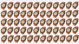 Odd One Out Puzzle: Only eagle Eyes Can Spot the Odd Watch in 5 Secs