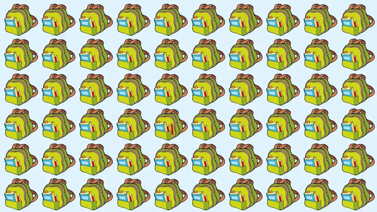 Optical Illusion Eye Test: If You have Hawk Eyes Spot the Odd Bag in 7 Secs