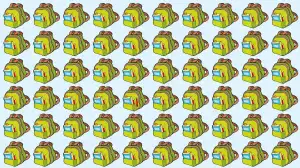 Optical Illusion Eye Test: If You have Hawk Eyes Spot the Odd Bag in 7 Secs