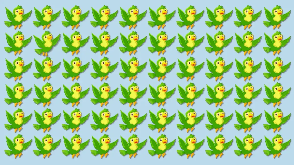 Optical Illusion Eye Test: If You have Hawk Eyes Spot the Odd Bird in 7 Secs Optical Illusion Eye Test: If You have Hawk Eyes Spot the Odd Bird in 7 Secs