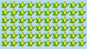 Optical Illusion Eye Test: If You have Hawk Eyes Spot the Odd Bird in 7 Secs
