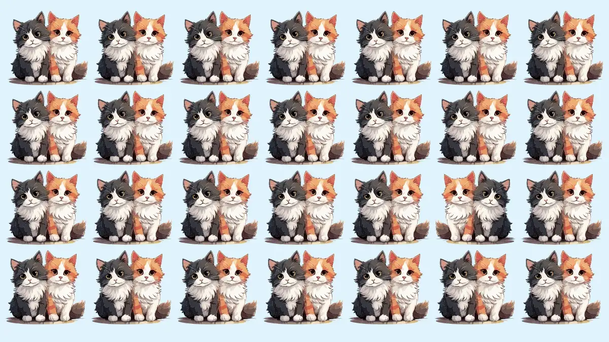 Optical Illusion Eye Test: If You have Hawk Eyes Spot the Odd Cat in 7 Secs Optical Illusion Eye Test: If You have Hawk Eyes Spot the Odd Cat in 7 Secs